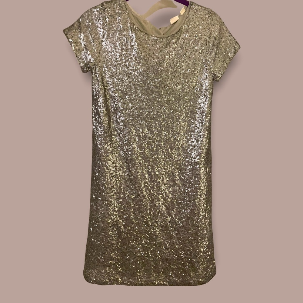 Silver sequin dress by GAP